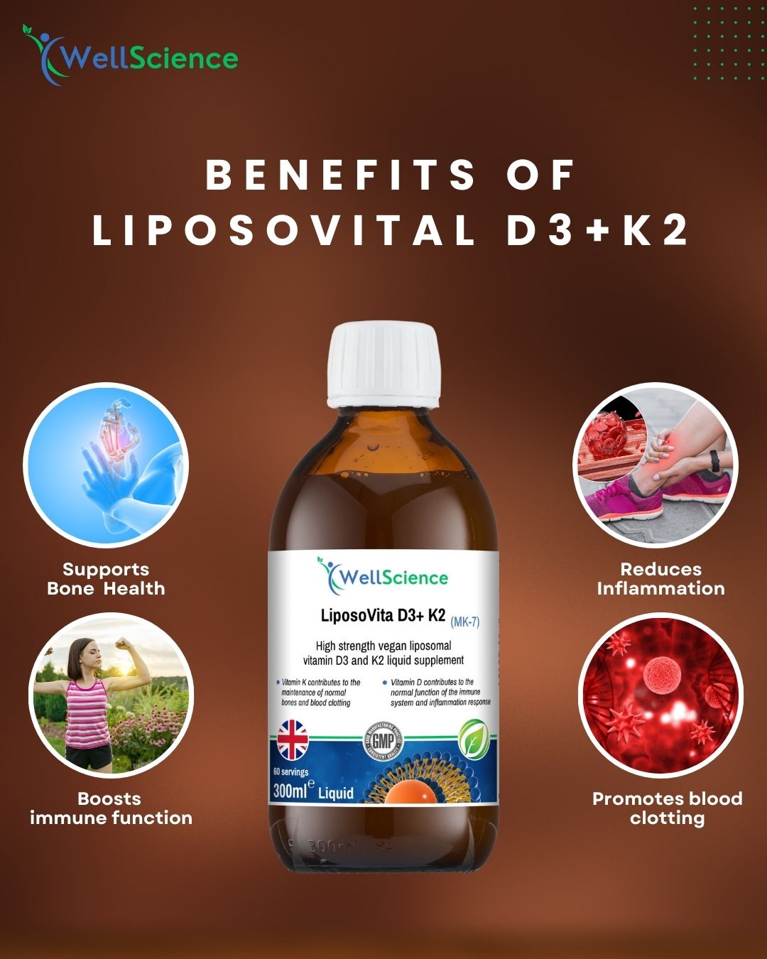 LIPSOVITAL D3 + K2.