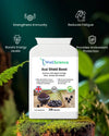 Acai Shield Boost benefits – boosts immunity, energy and natural beauty WellScience UK