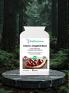 Antarctic OmegaKrill Boost 60 capsules – sustainably sourced krill oil heart and brain supplement UK WellScience
