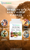Apple Cider Vinegar herbal capsules ingredients – vegan ACV supplement WellScience UK