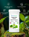 EcoBlend Vitality Organic benefits – clean energy, gut health and daily vitality WellScience UK