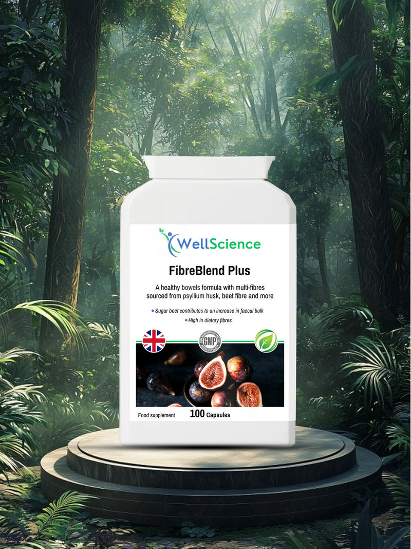 FibreBlend Plus 100 capsules – psyllium husk and flaxseed high fibre supplement UK WellScience