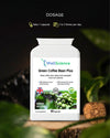 Green Coffee Bean Plus dosage – 2 capsules daily green coffee supplement UK WellScience
