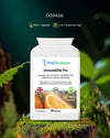 ImmunoElite Pro dosage – 2 capsules daily immune support supplement UK WellScience