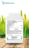 OceanBlend Vitality ingredients – organic seaweed, kelp and marine minerals capsules WellScience