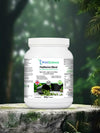 PeaRevive Blend 500g – vegan pea protein powder with herbs UK WellScience