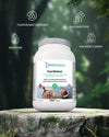 Post Workout Chocolate benefits – muscle recovery, energy replenishment and rehydration WellScience UK