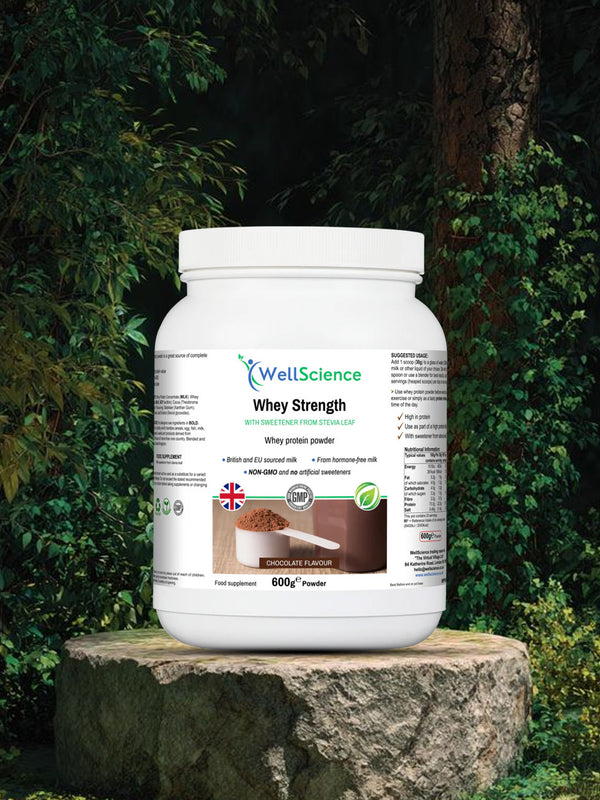 Whey Strength Chocolate 600g – premium chocolate whey protein powder for muscle growth UK WellScience