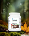 Whey Strength Chocolate benefits – muscle growth, recovery and strength WellScience UK